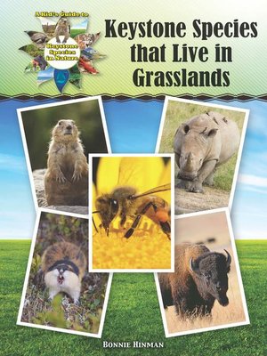 cover image of Keystone Species that Live in Grasslands